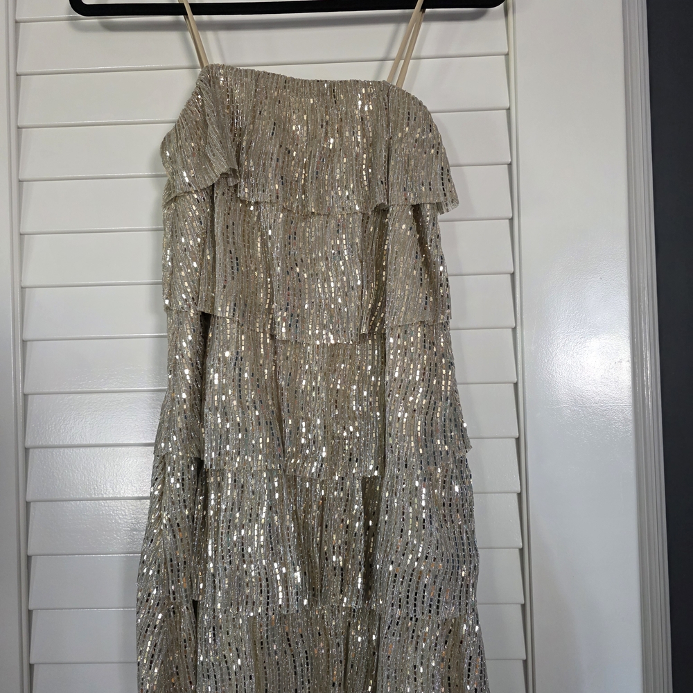Elegant Silver Sequin Mini Dress